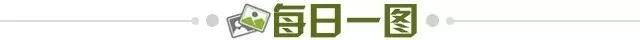a505b71a-89eb-4dba-b684-53acd081e346.jpg@!img01